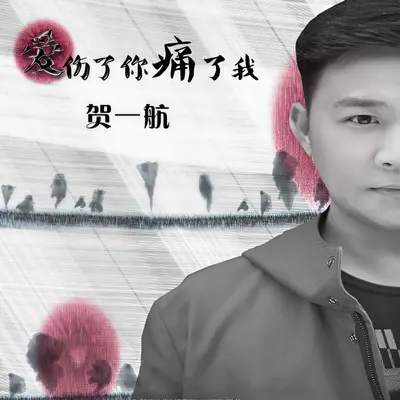 爱伤了你痛了我封面