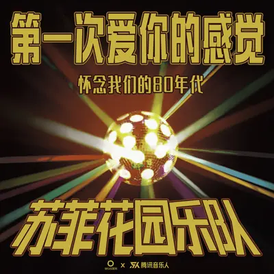 第一次爱你的感觉封面