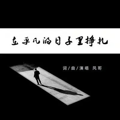 在平凡的日子里挣扎封面