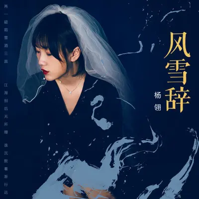 风雪辞封面