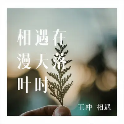 相遇在漫天落叶时 - 相遇 / 蒙面哥 / 周虫虫封面
