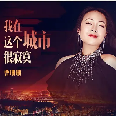 我在这个城市很寂寞封面