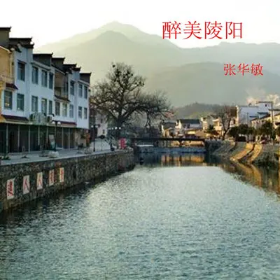 醉美陵阳封面