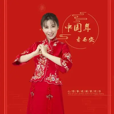中国年 看西安封面
