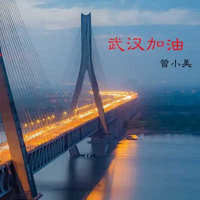 武汉加油封面