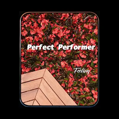 Perfect performer 完美表演者封面