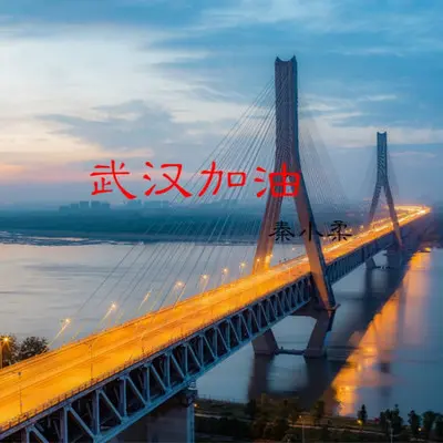 武汉加油封面