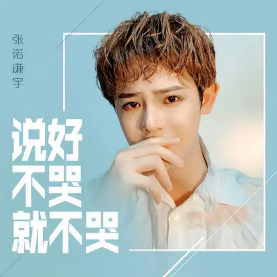 说好不哭就不哭封面