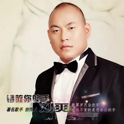 错放你的手封面