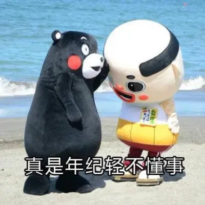 悼英雄【纯歌版】封面