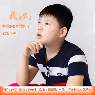 我想家了封面