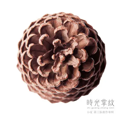 随封面