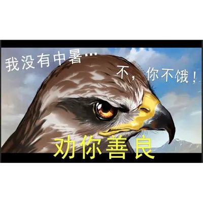 执守无疆 - IRiS七叶封面