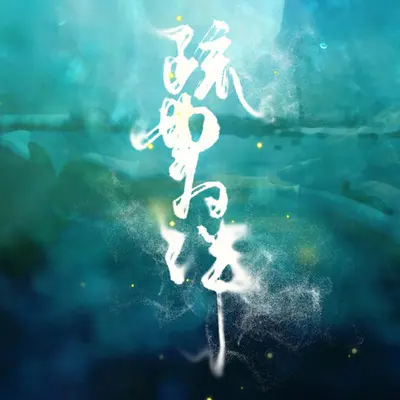 疏曲为伴封面