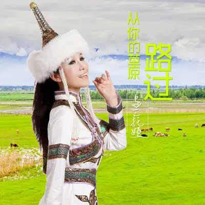 从你的草原路过封面