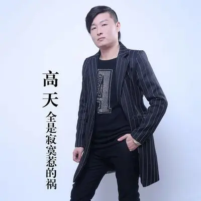 全是寂寞惹的祸封面