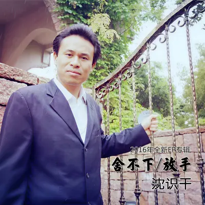 往事醉红尘 - 沈识干封面