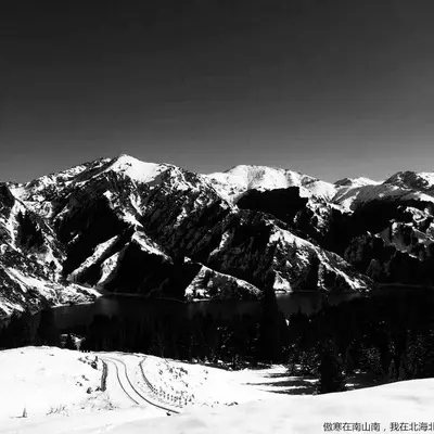 傲寒在南山南，我在北海北封面