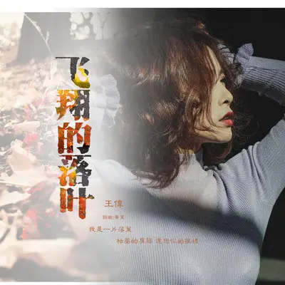 飞翔的落叶封面
