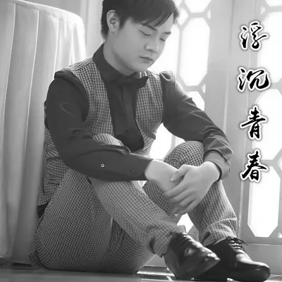 浮沉青春封面