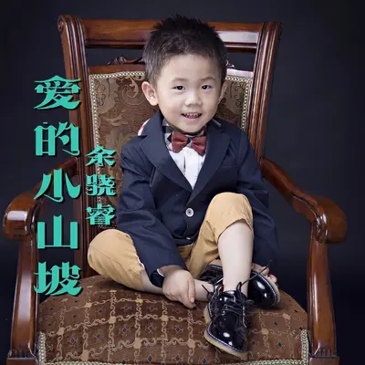 小鸡过河封面
