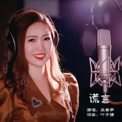 谎言 - 吴春笋封面