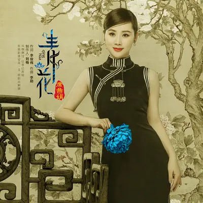 青花封面