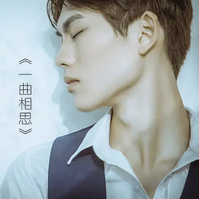 一曲相思封面