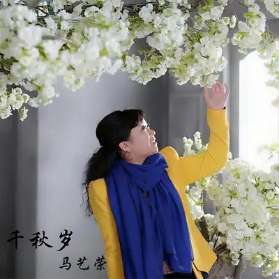 千秋岁封面
