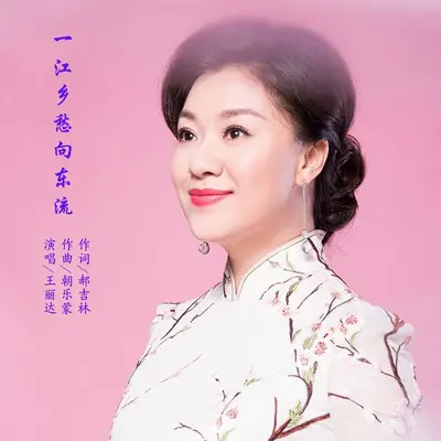 一江乡愁向东流封面