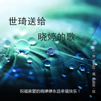 世琦送给晓婷的歌 - 刘世琦封面