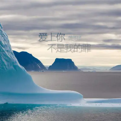 爱上你不是我的罪封面