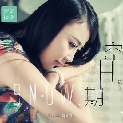阿拉木汗的眼泪封面