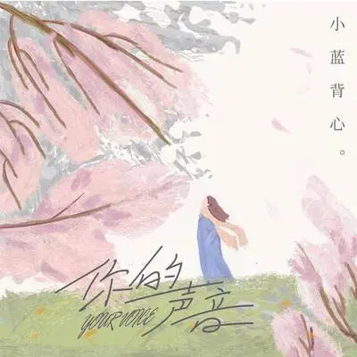 你的声音 (DJ版) - 小蓝背心封面