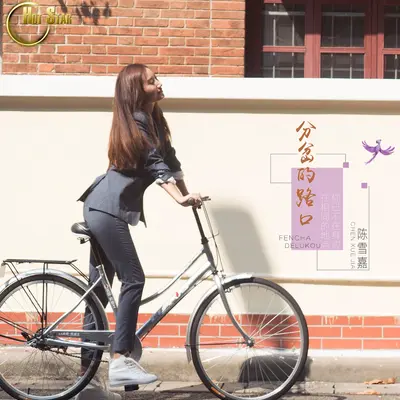分岔的路口封面