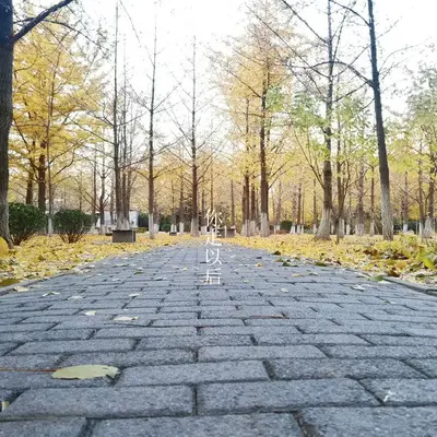 你走以后封面