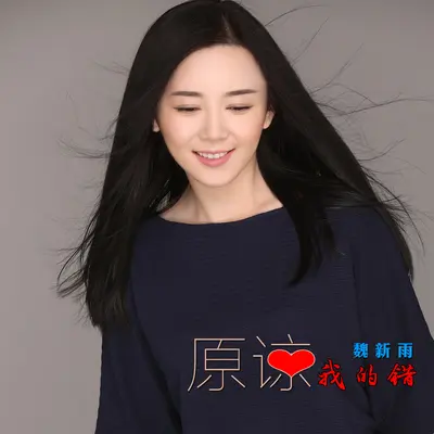 原谅我的错封面