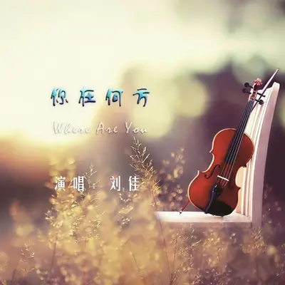 你在何方封面