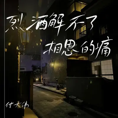 烈酒解不了相思的痛 - 付大伟封面