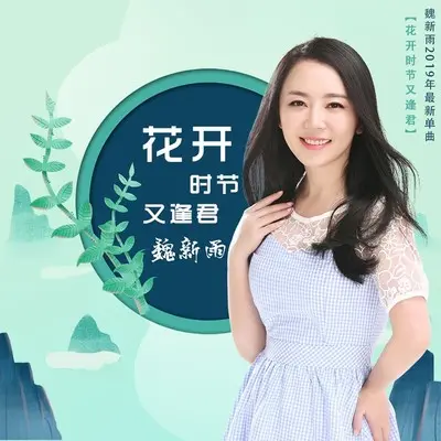 花开时节又逢君(DJ何鹏版)封面