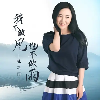 我不做风也不做雨 (DJ九零版)封面