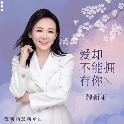 爱却不能拥有你封面