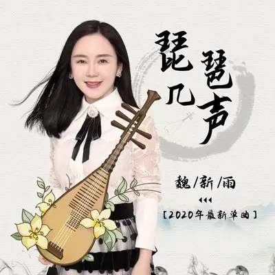 琵琶几声封面