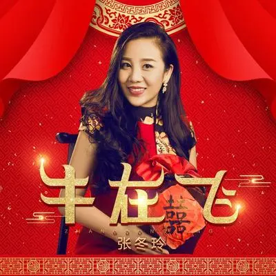 牛在飞(Dj阿远)(伴奏) - 张冬玲封面