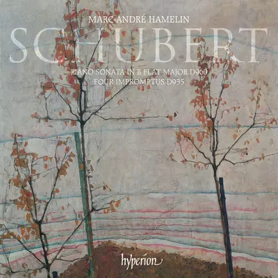 Schubert: ピアノ・ソナタ 第21番 変ロ长调 D960 第2楽章: Andante sostenuto+Schubert: ピアノソナタダイニジュウイチバンダイニガクショウアンダンテソステヌート+Schubert: Piano Sonata No. 21 in B-Flat Major, D. 960: II. Andante sostenuto封面