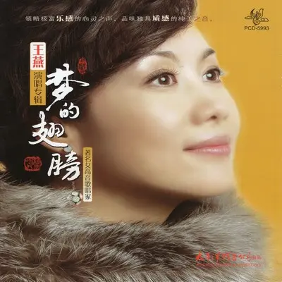 在梦里 - 王燕封面