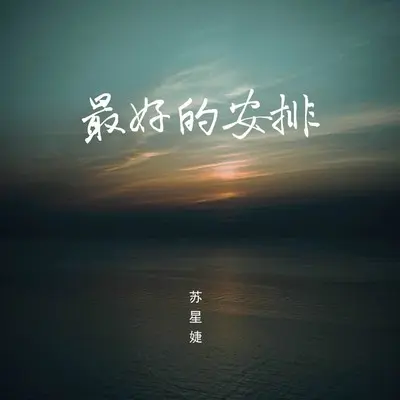 最好的安排 (释怀版)封面