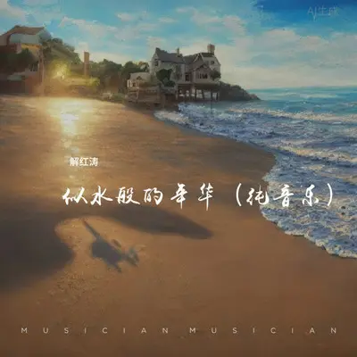 似水般的年华 (纯音乐) - 解红涛封面