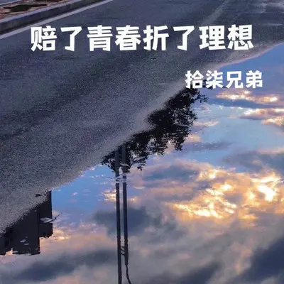 赔了青春 折了理想（烟嗓版）封面