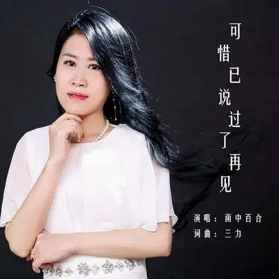 可惜已说过了再见(DJ余小磊版伴奏)封面